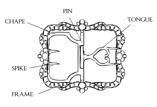buckle anatomy