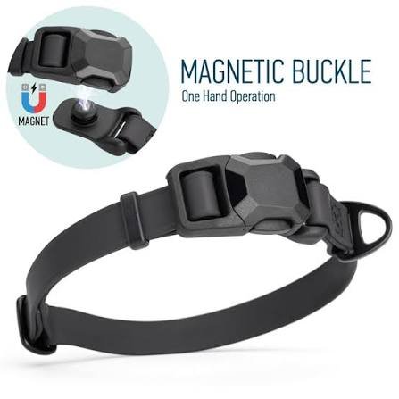 magnetic buckle